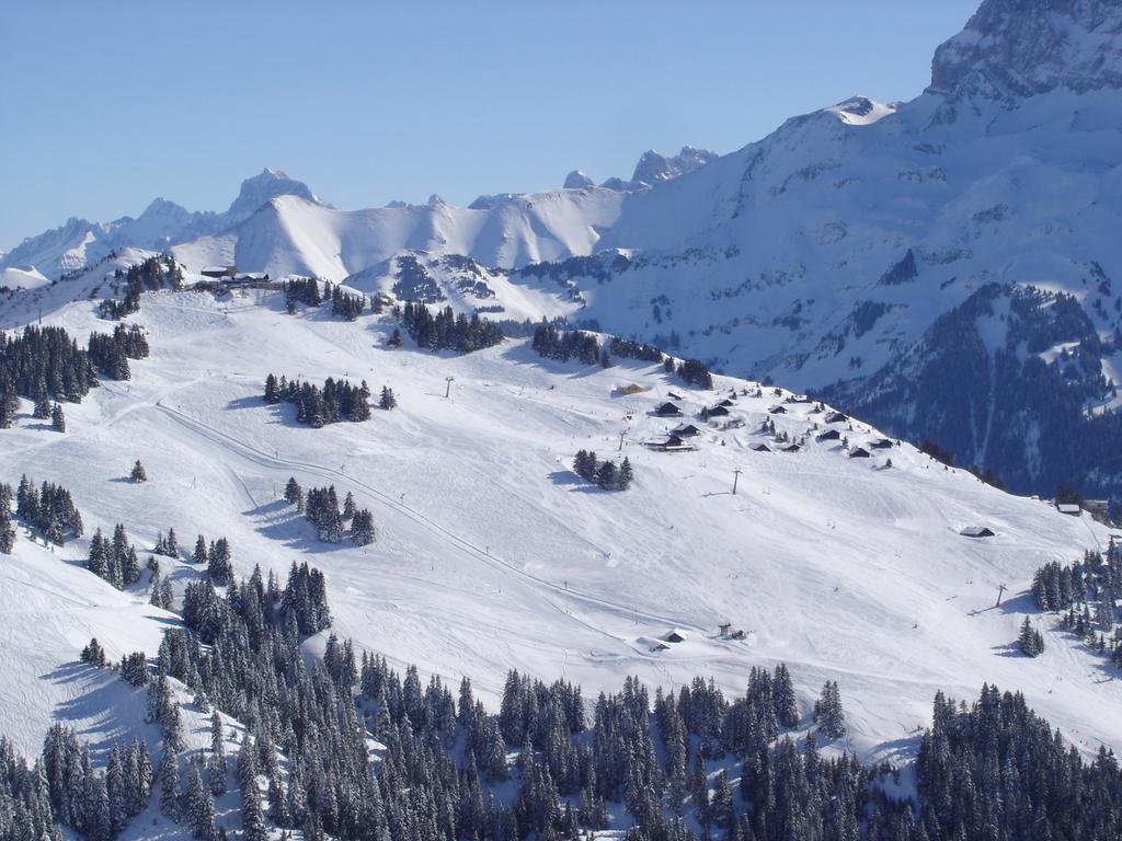 Hotel Des Alpes Champéry Buitenkant foto