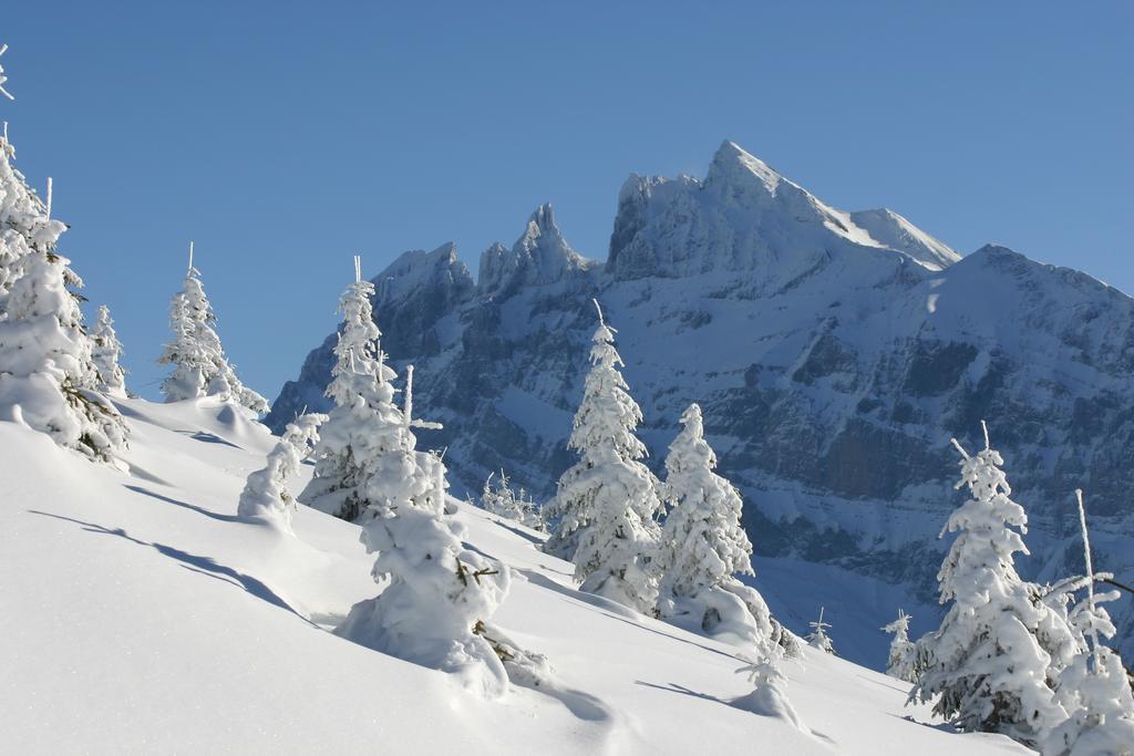 Hotel Des Alpes Champéry Buitenkant foto