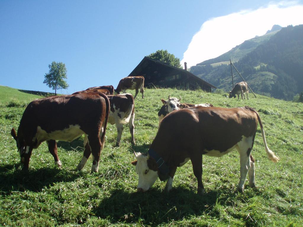 Hotel Des Alpes Champéry Buitenkant foto