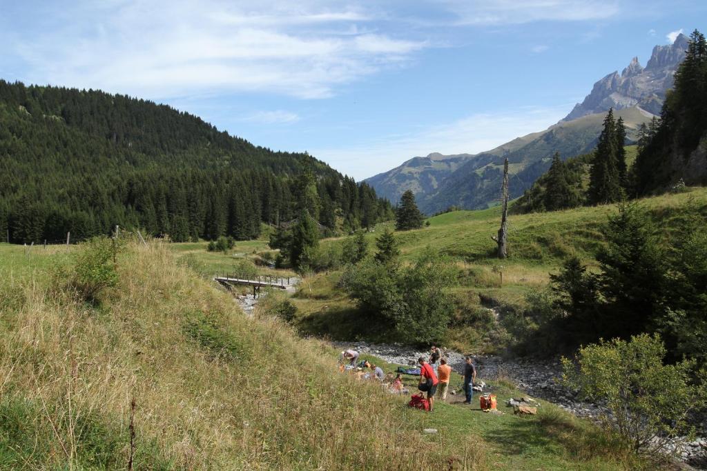 Hotel Des Alpes Champéry Buitenkant foto