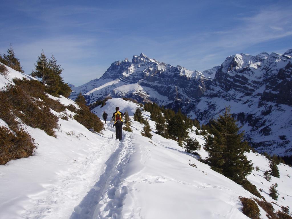 Hotel Des Alpes Champéry Buitenkant foto